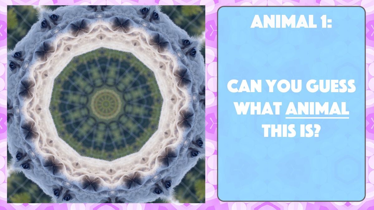 A Kaleidoscopic Quiz Vol. 2 image number null