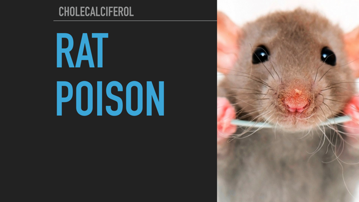 Red Bull or Rat Poison? image number null