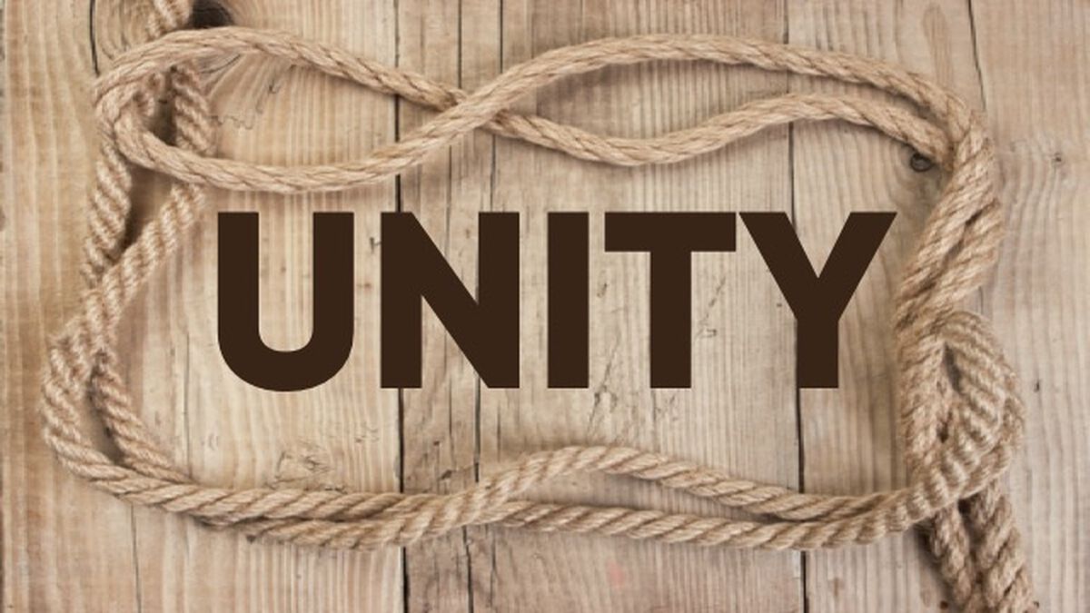 Unity image number 0