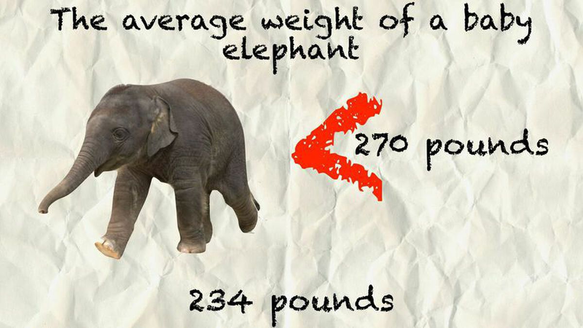 Greater Than  image number 2