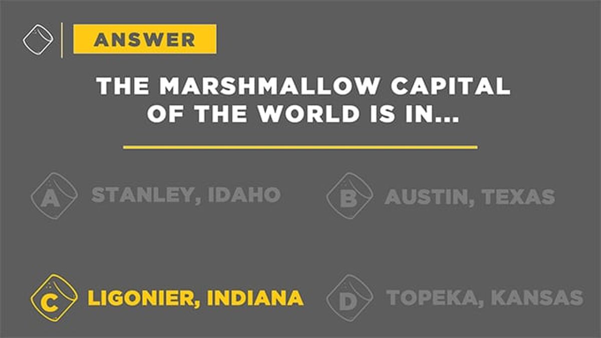 Marsh Madness - Marshmallow Trivia image number 4