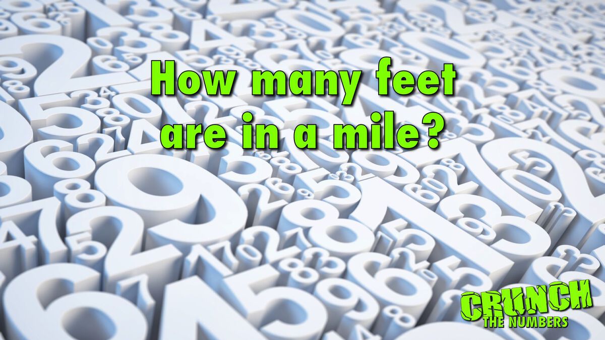 Crunch The Numbers image number 2