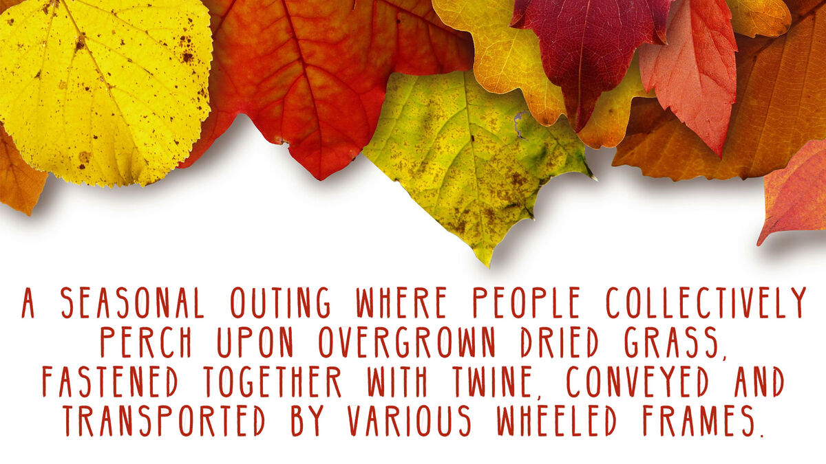 Overstated: Fall Edition image number 4