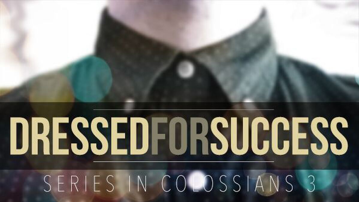 Dressed for Success image number 0