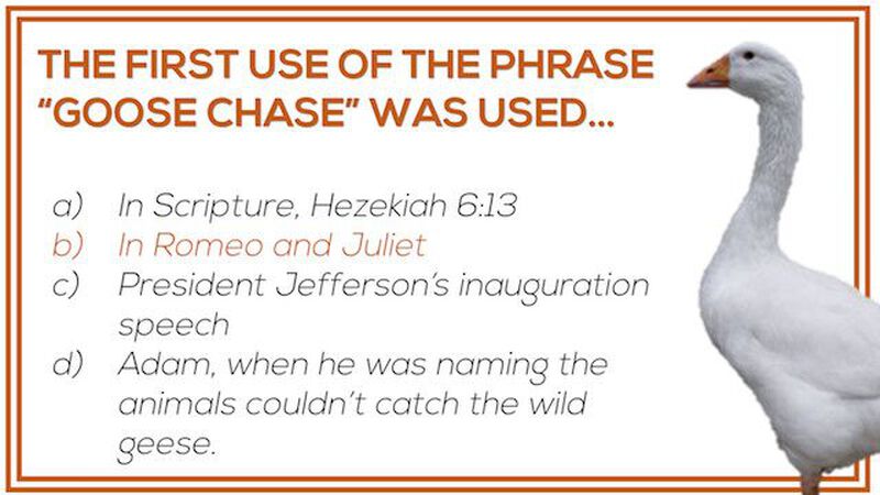 Goose Chase Trivia
