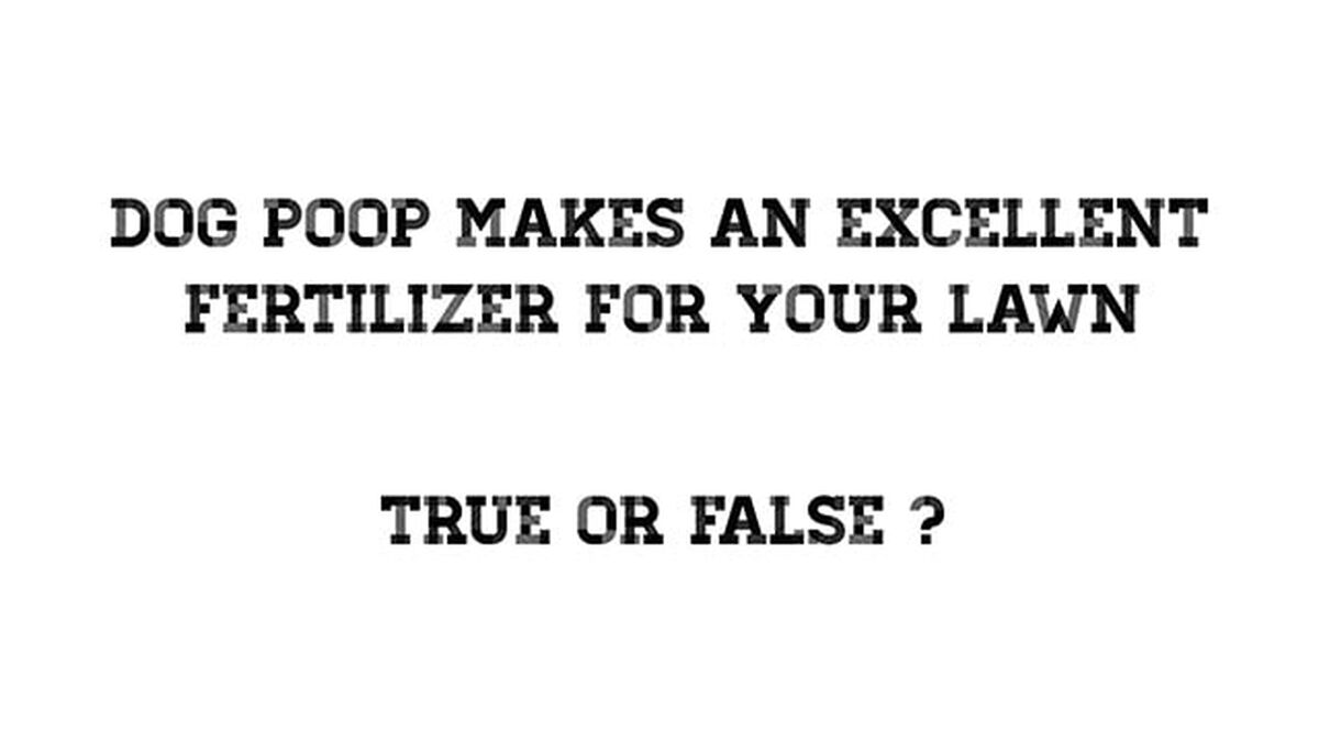 Poopity Scoop image number 2
