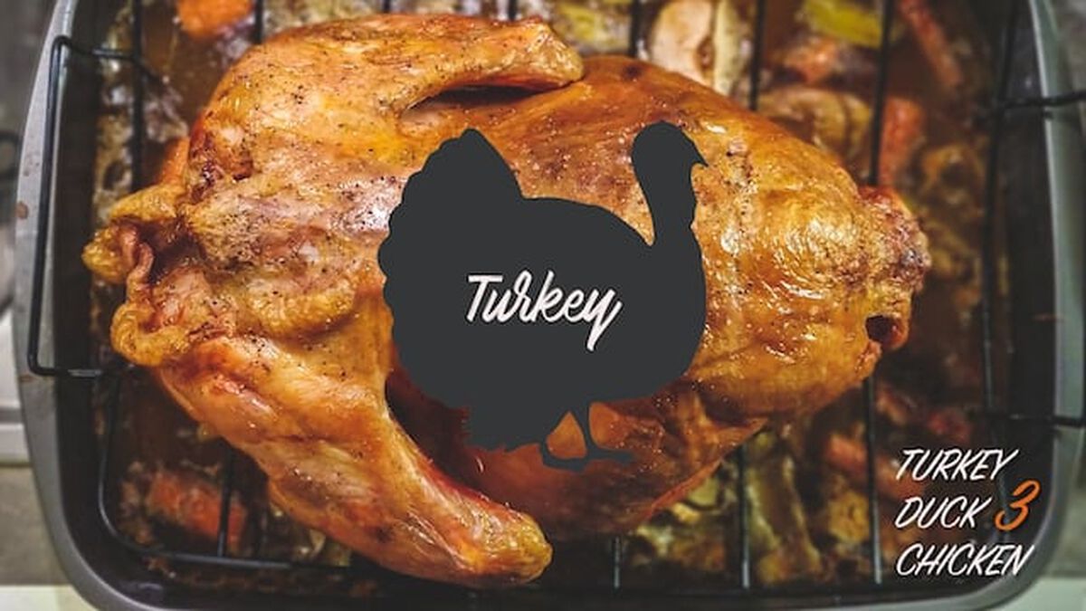 Turkey Duck Chicken Three image number 4