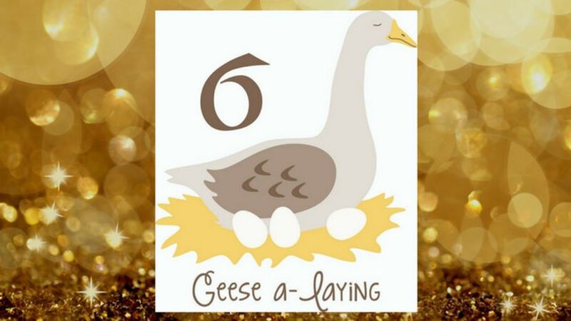 Twelve Days of Birdy on a Perch