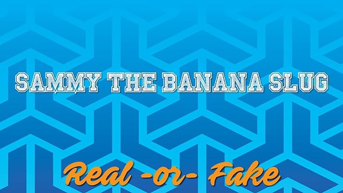 Obscure Mascots - Real or Fake image number 3