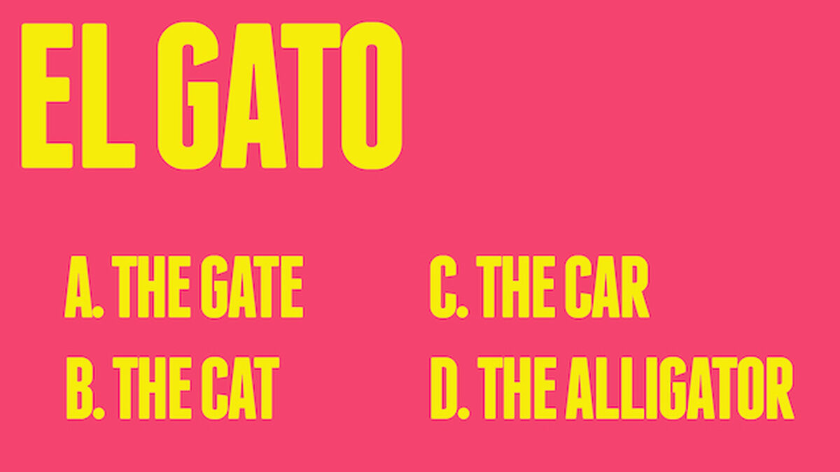 El Super Grande Spanish Vocab Quiz  image number 2