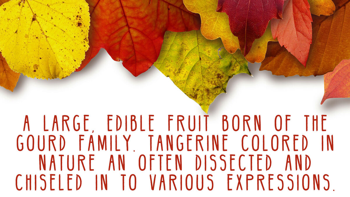 Overstated: Fall Edition image number 3