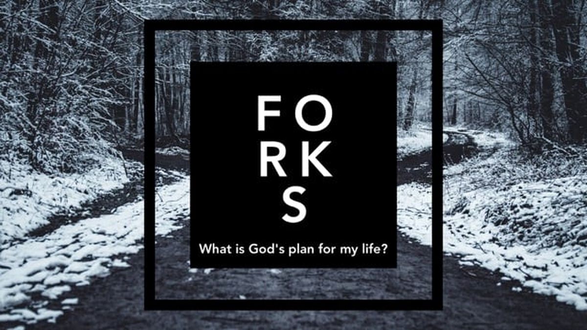 Forks: What is God's Plan For My Life? image number 0