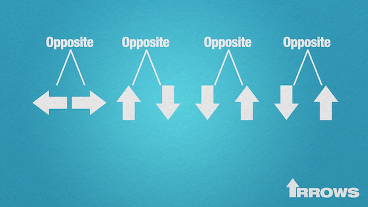 Arrows image number 3