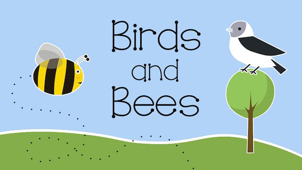 Birds and Bees image number 0