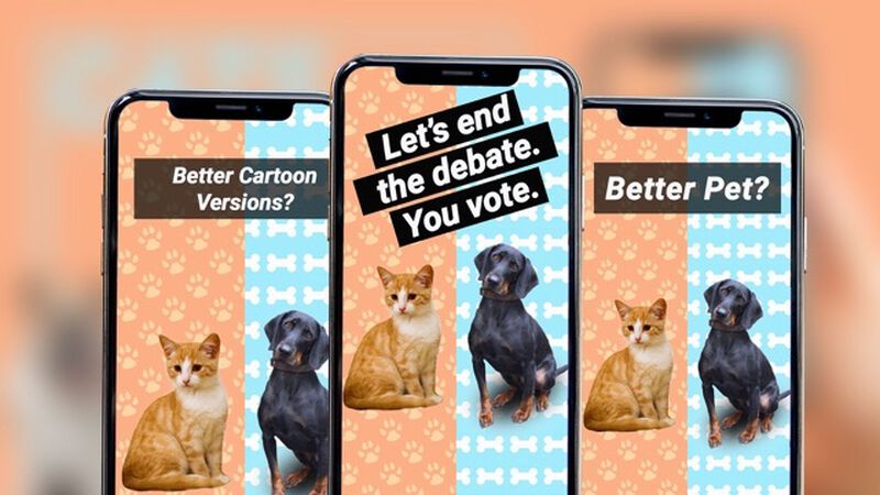 Cats vs Dogs - Story Edition