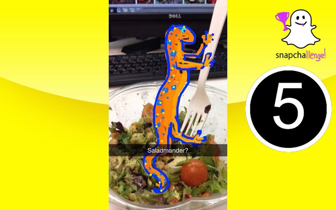 Snap Challenge Vol 2 image number 0
