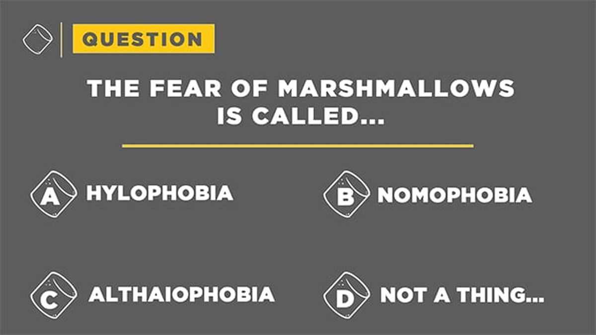 Marsh Madness - Marshmallow Trivia image number 6