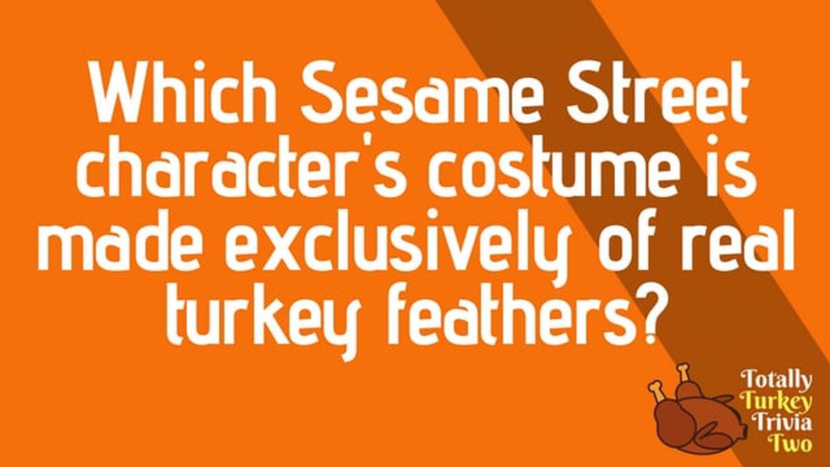 Totally Turkey Trivia Two image number 3