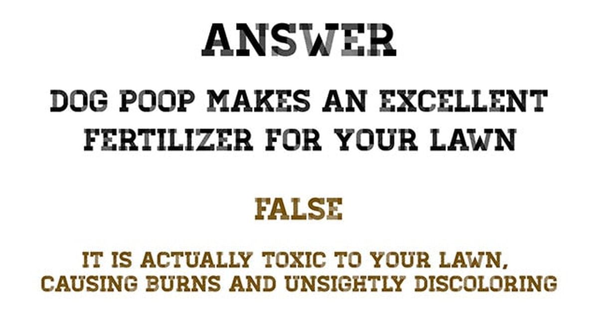 Poopity Scoop image number 3