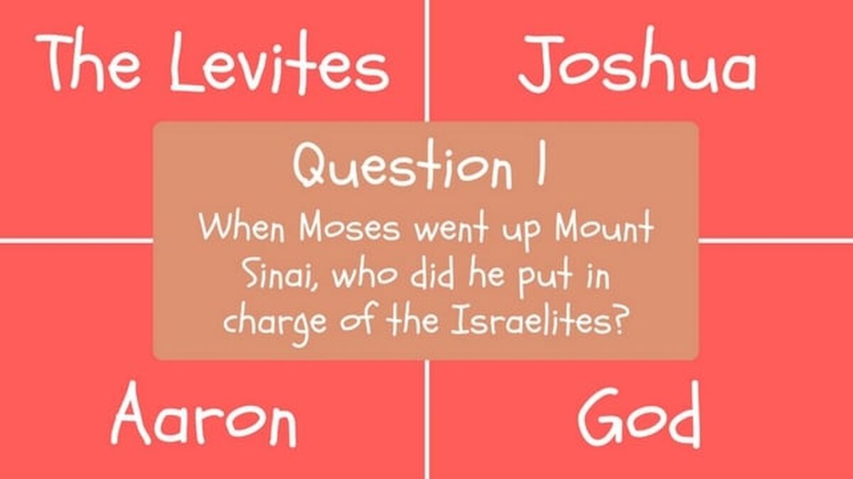 Holy Cow image number 1