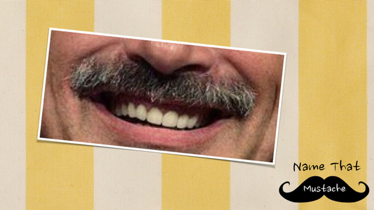 Name That Mustache 2 image number 0