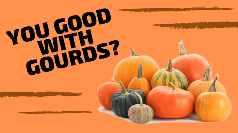 Are You Good with Gourds?