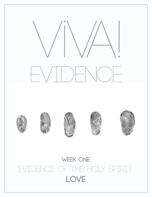 Viva! Evidence image number 2
