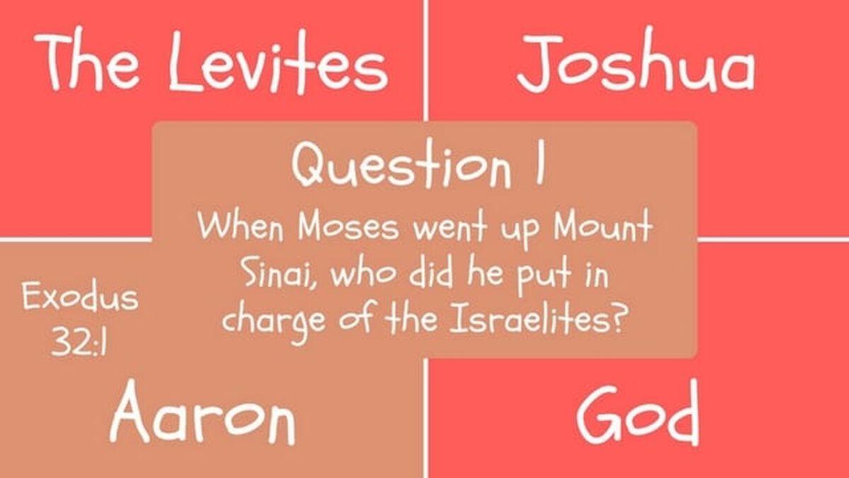 Holy Cow image number 2