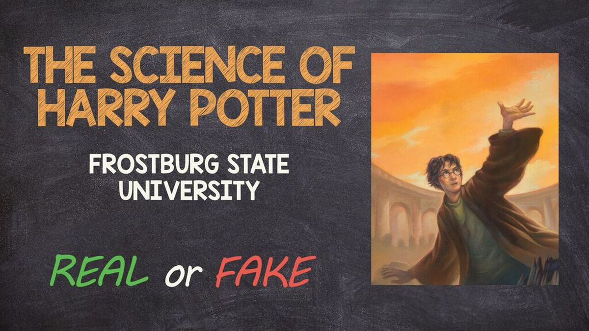 College Courses: Real or Fake image number 6