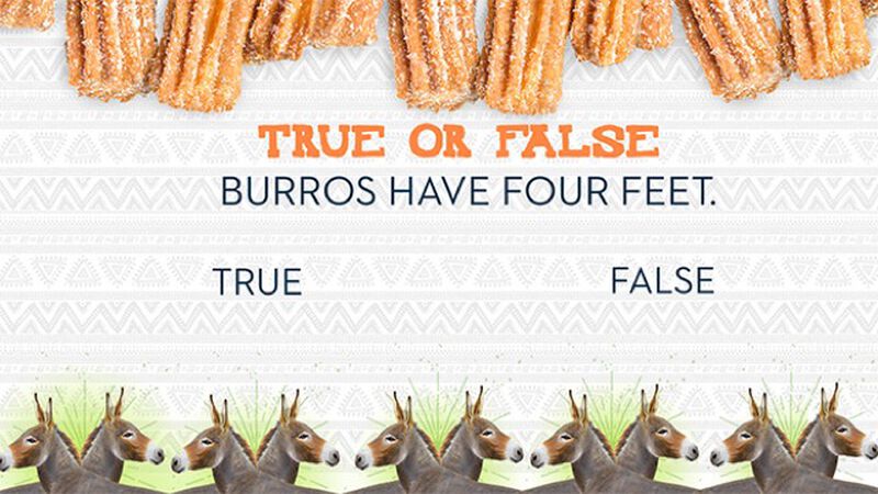 Churros and Burros