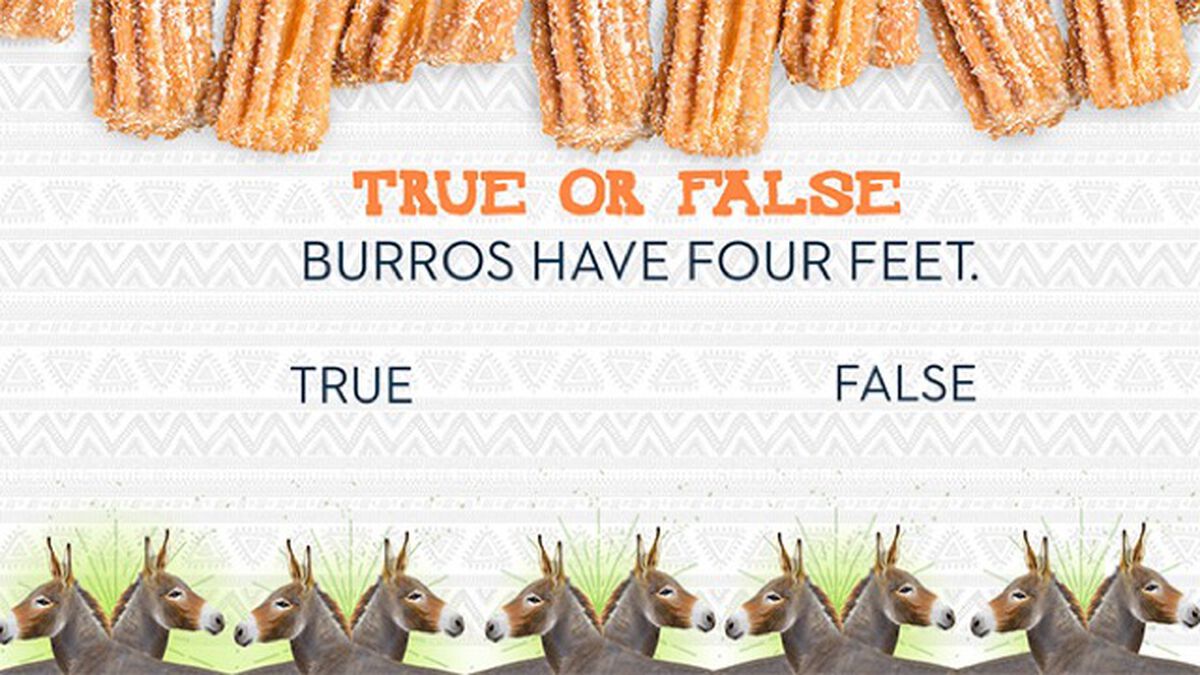 Churros and Burros image number 1
