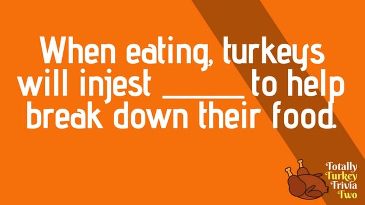 Totally Turkey Trivia Two image number 1
