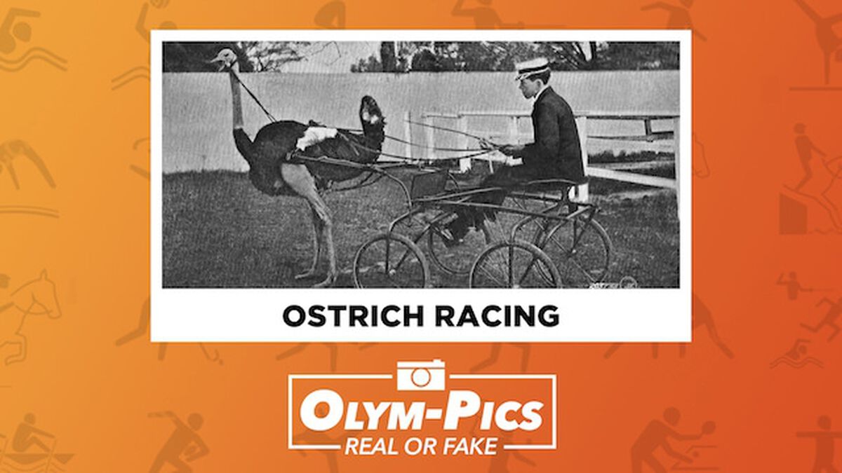 Olym-Pics: Real or Fake image number 3