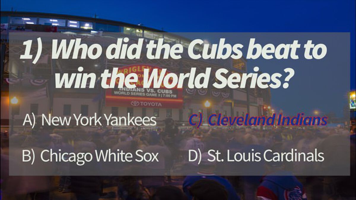 So You Are A Cubs Fan... image number 2
