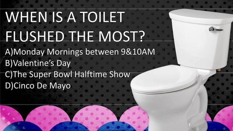 Toilet Trivia Game
