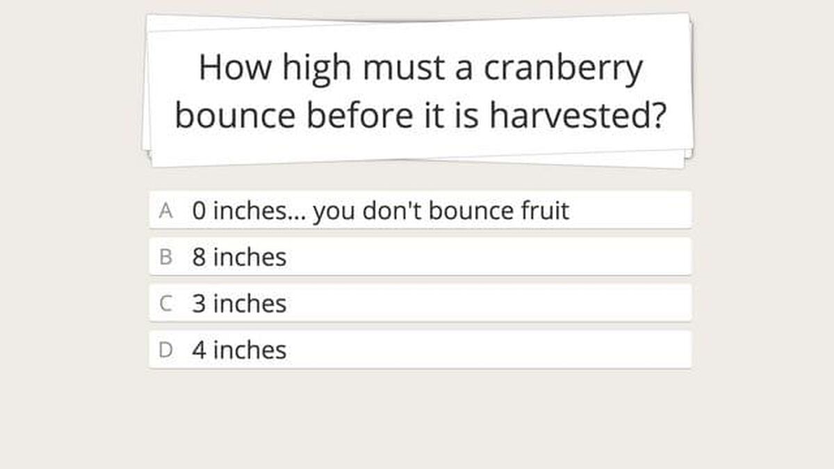 Things You Should Know About Thanksgiving Trivia image number 5