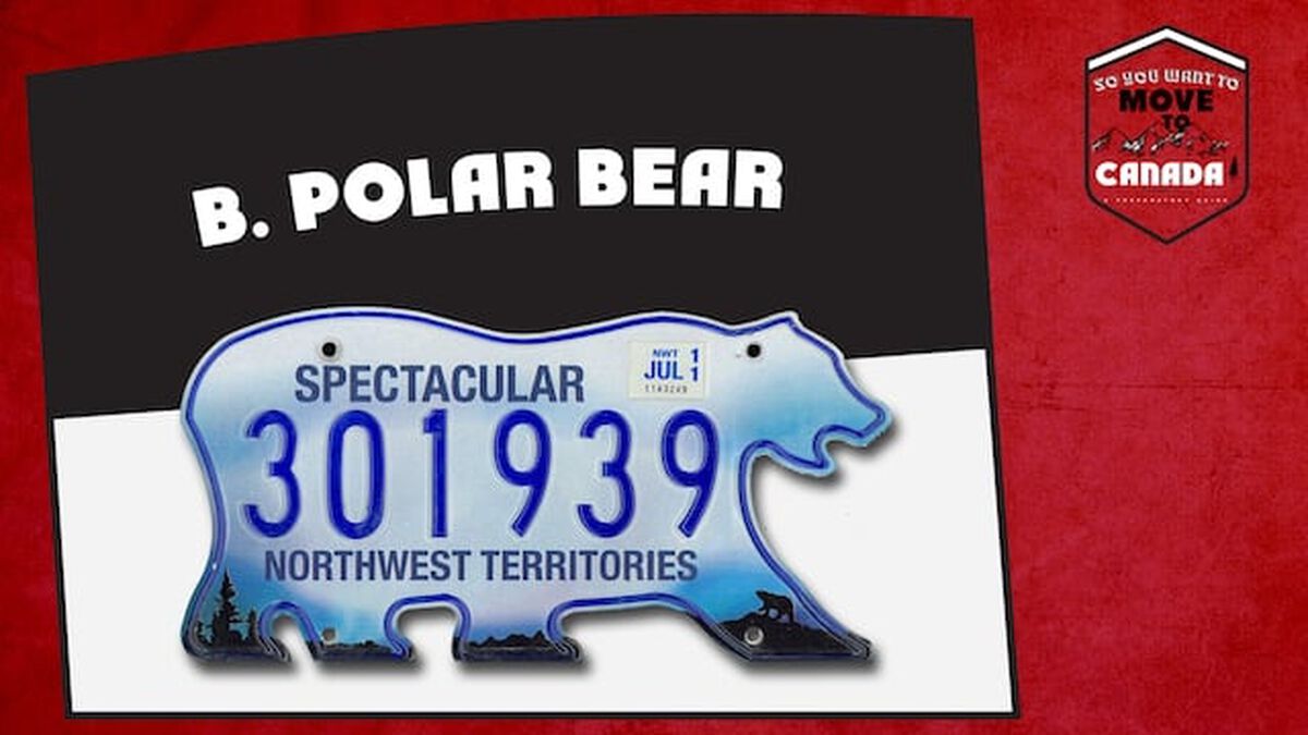 So You Want to Move to Canada? image number 2