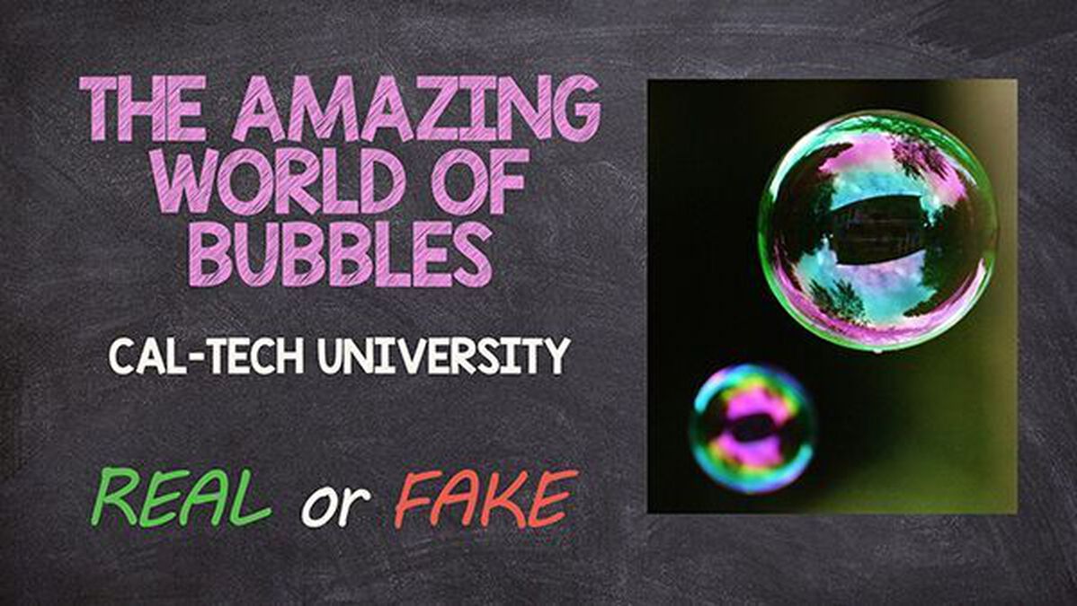 College Courses: Real or Fake image number 1