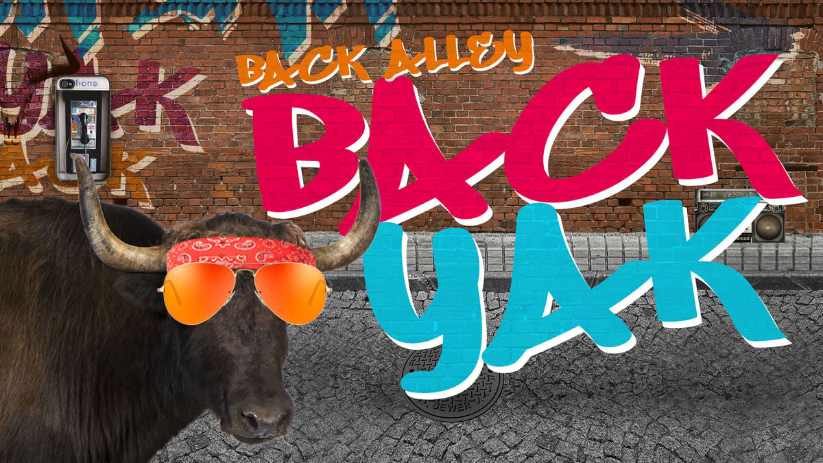 Back Alley Back Yak Youth Group Game image number 0