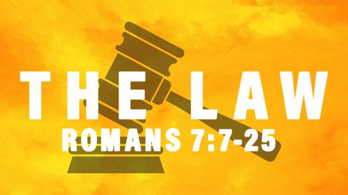 The Law image number 0