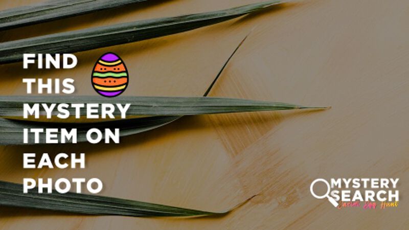Mystery Search - Easter Egg Hunt