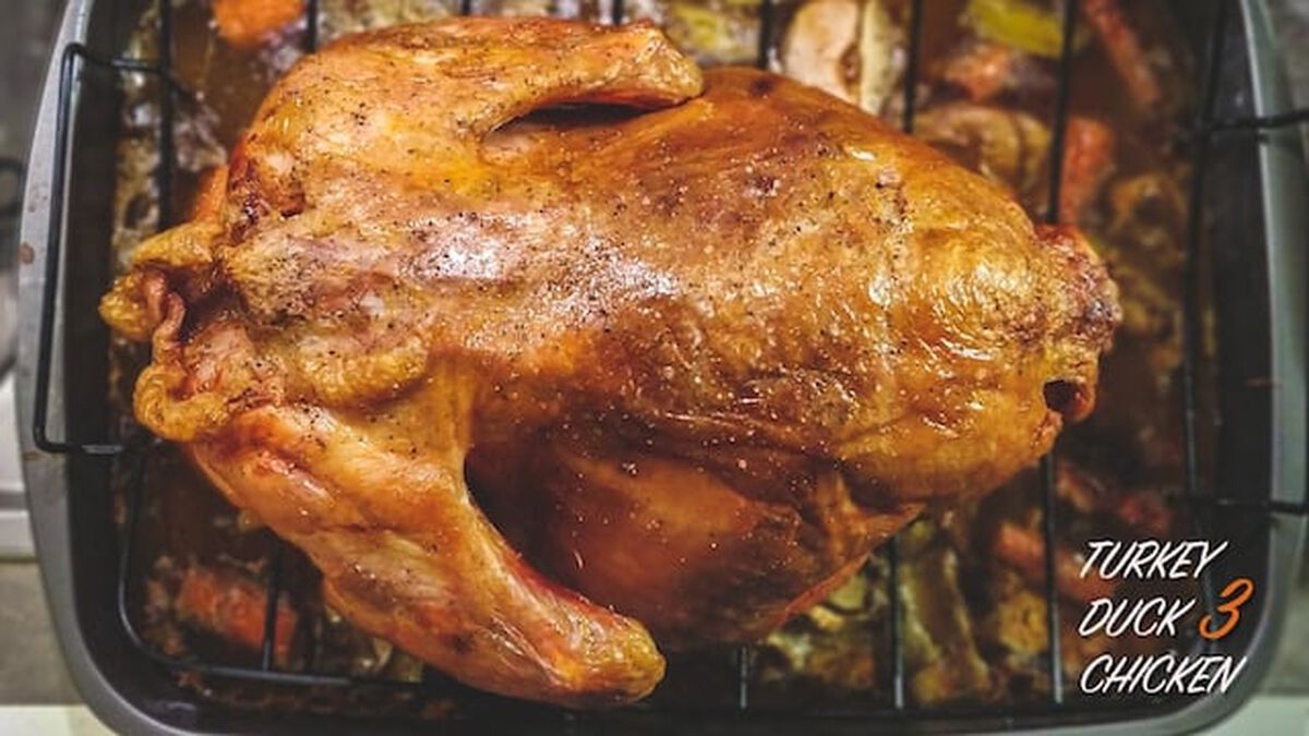 Turkey Duck Chicken Three image number 3