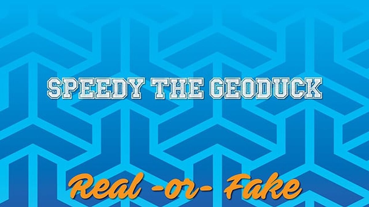 Obscure Mascots - Real or Fake image number 1