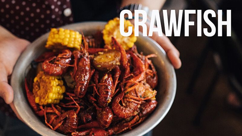 Shrimp or Crawfish (May 10th, National Shrimp Day)