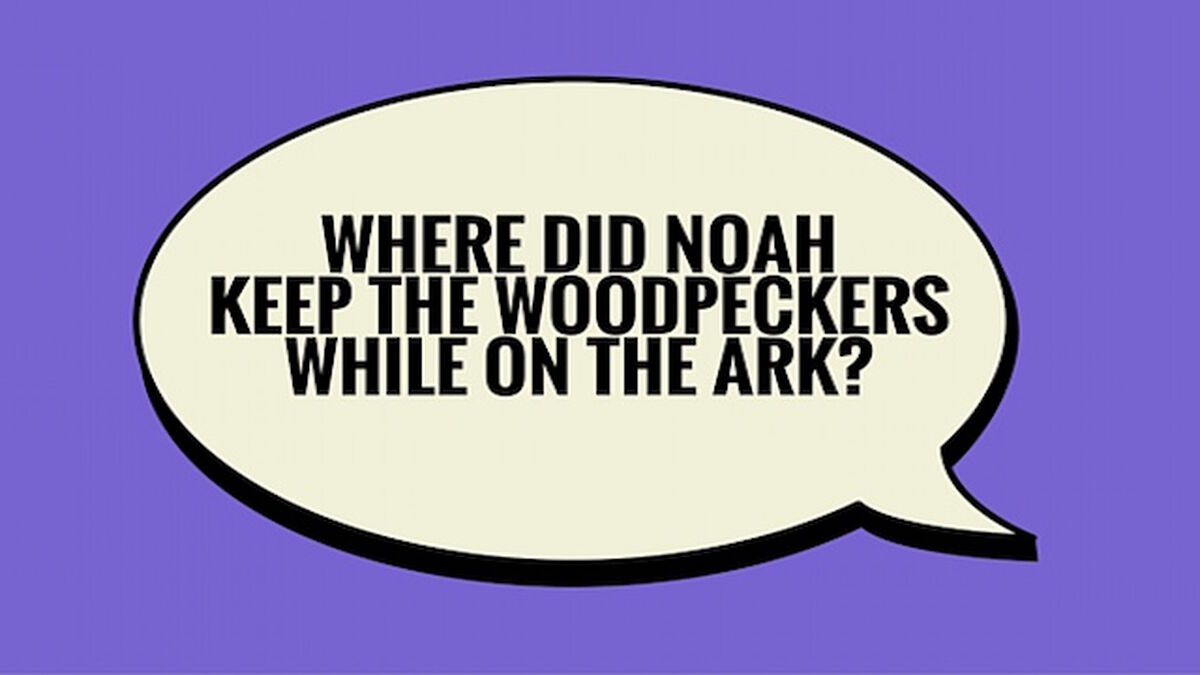 Random Thoughts Volume 2 image number 3