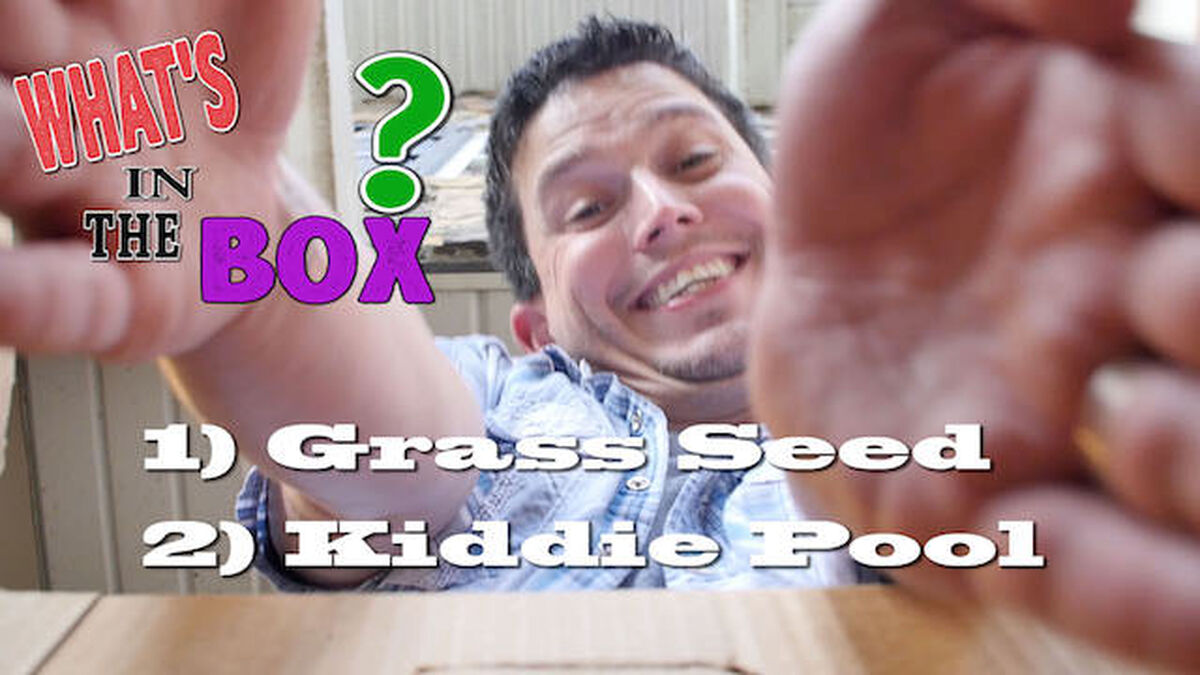 What's in the Box? image number 1
