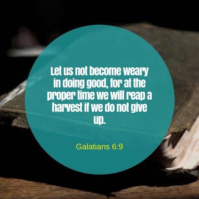 Verse of the Week: Summer Edition image number 4