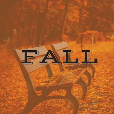 Fantastic Fall Insta Pack