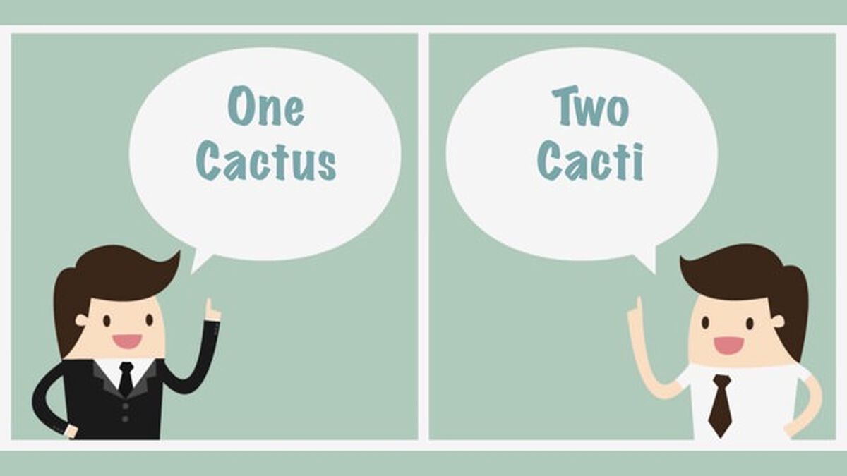 Plural Problems image number 5