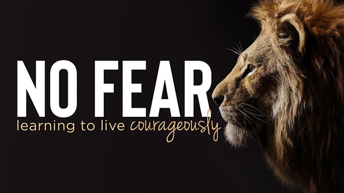 No Fear Learning to Live Courageously image number 0